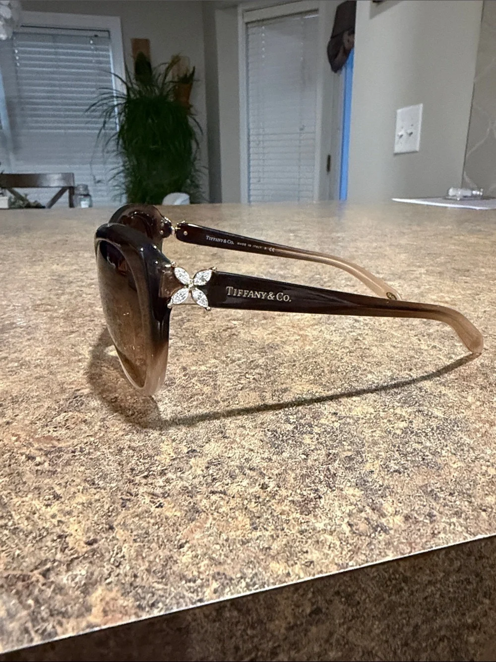 Tiffany & Co. Brown Gradient Cat-Eye Sunglasses
